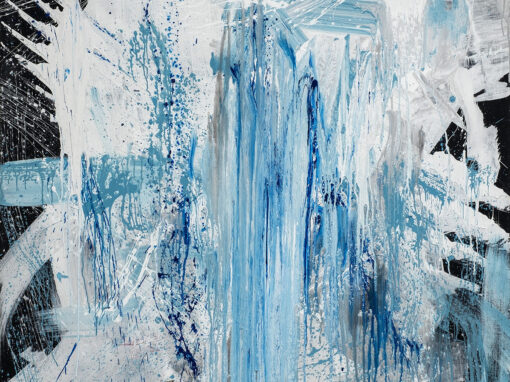 Vernisaj Anatol Danilișin